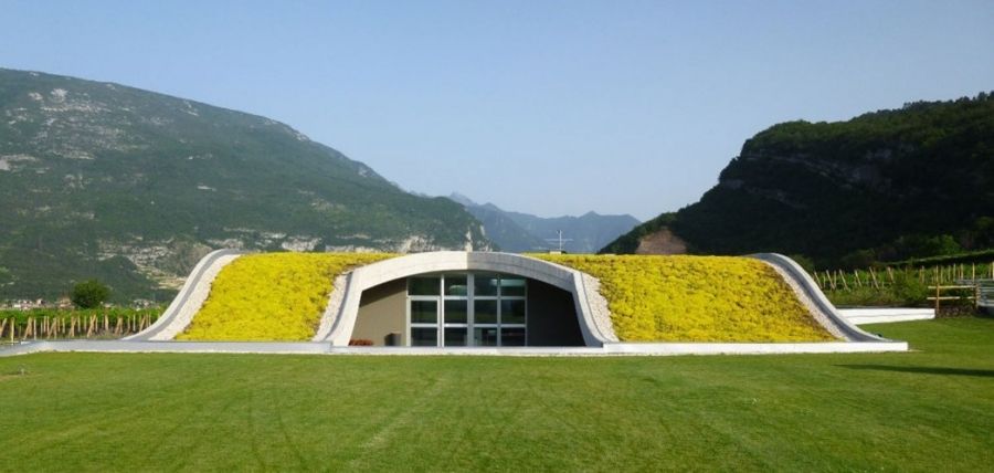 BODEGA "MORI COLLI ZUGNA"